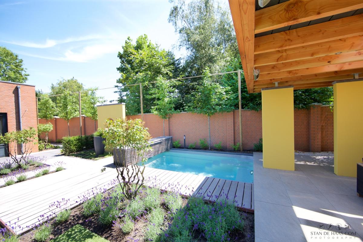 plungepool in moderne tuin