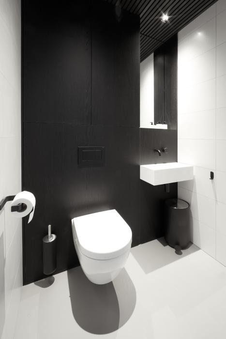 luxe toilet