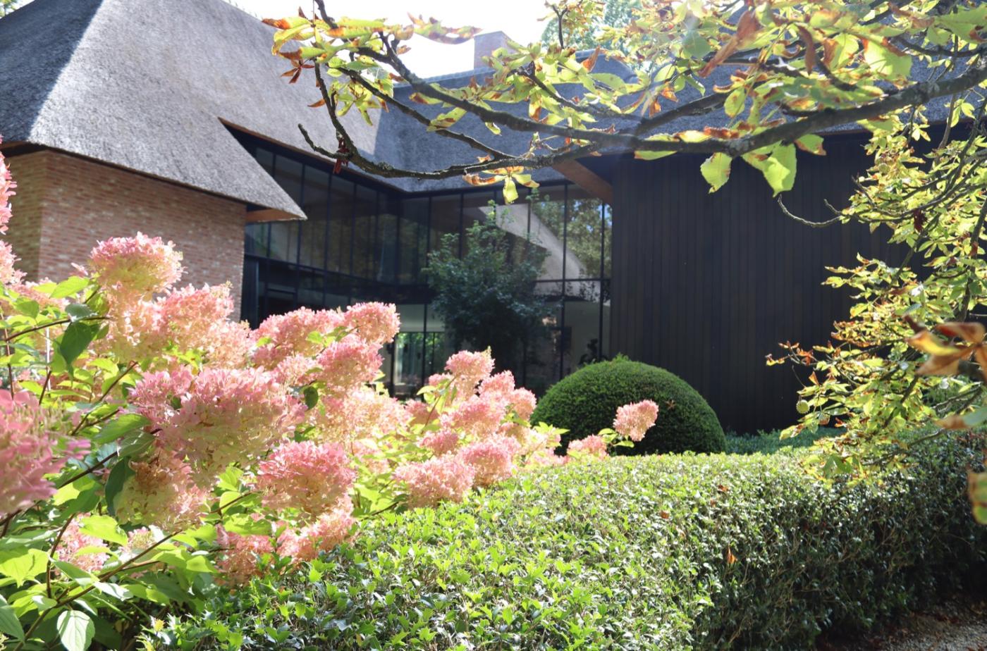 bloemen in villa tuin