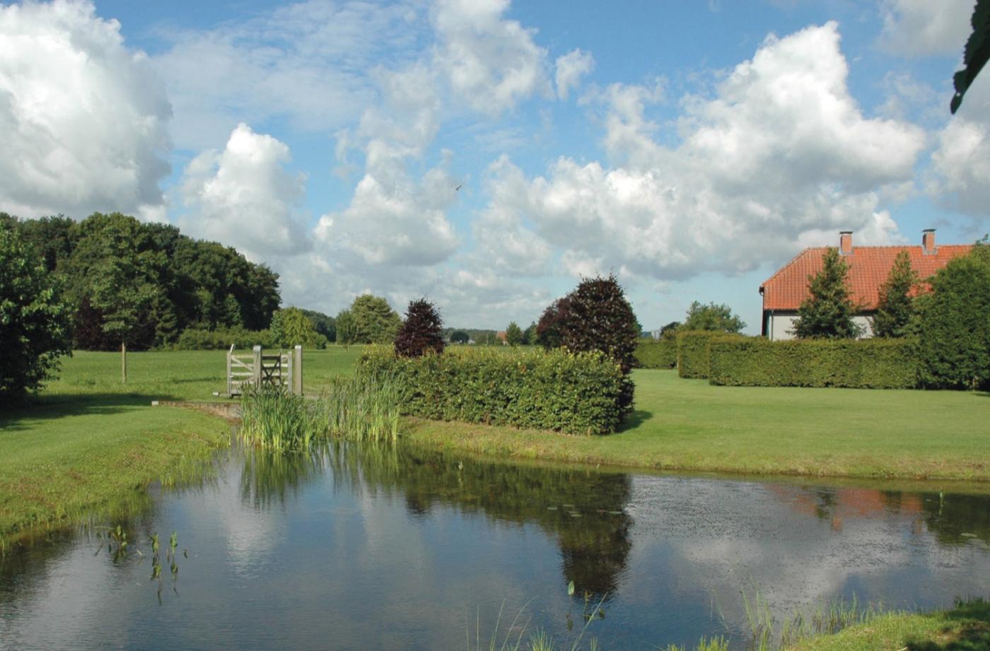 vijver in tuin