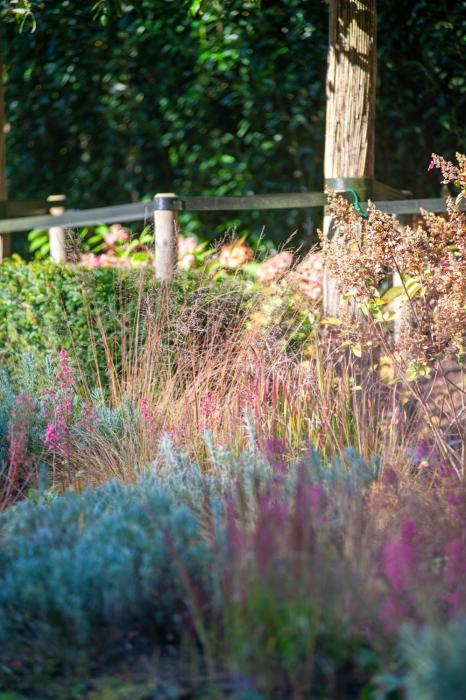 planten in tuin