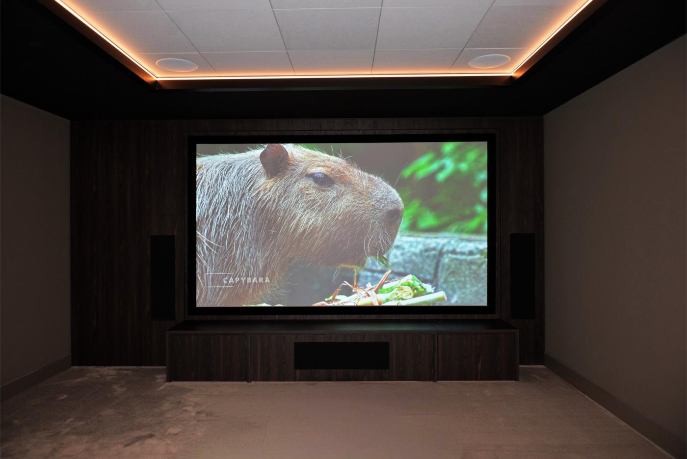 scherm homecinema