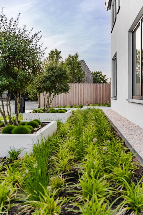 beplanting moderne voortuin