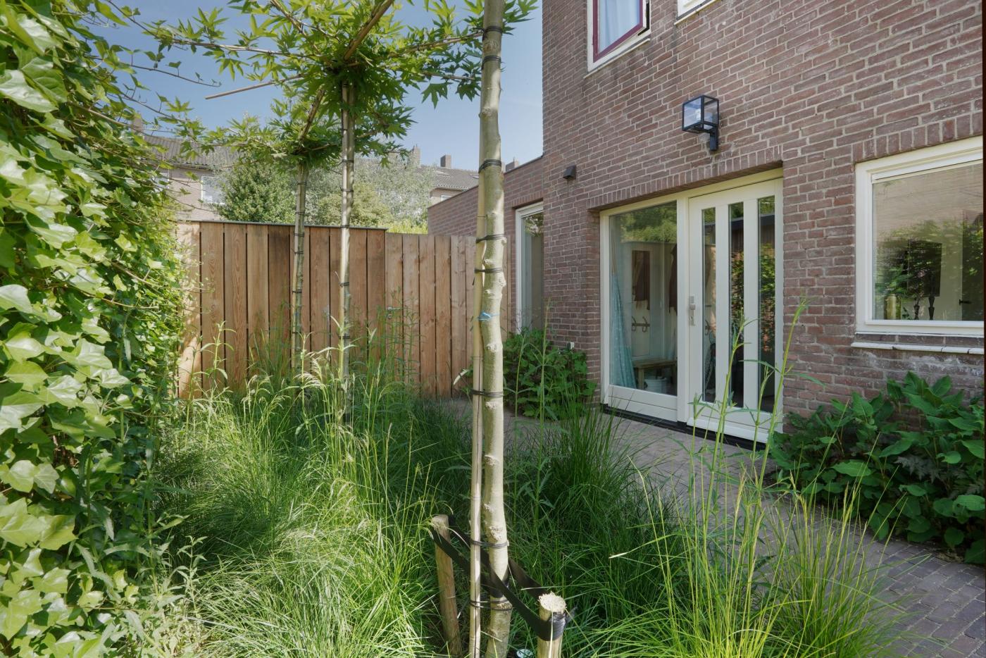 tuin met planten