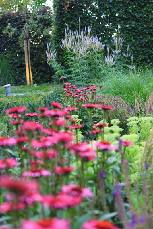 bloemen in groene tuin