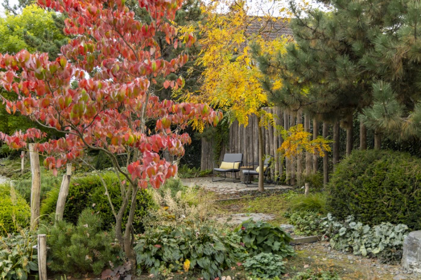 tuin met planten