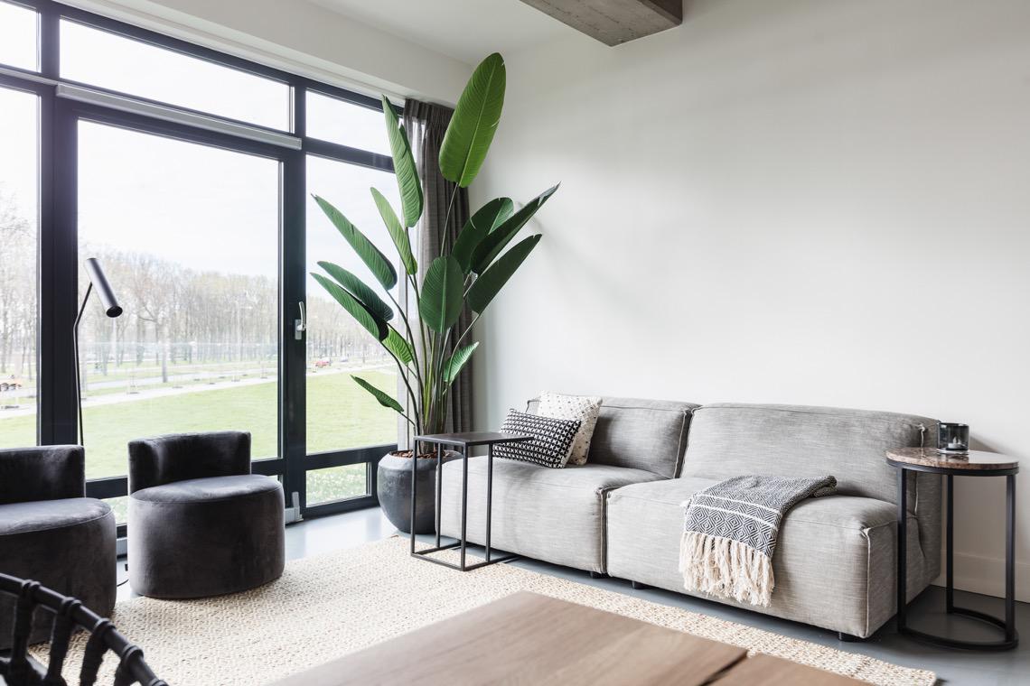 woonkamer met plant