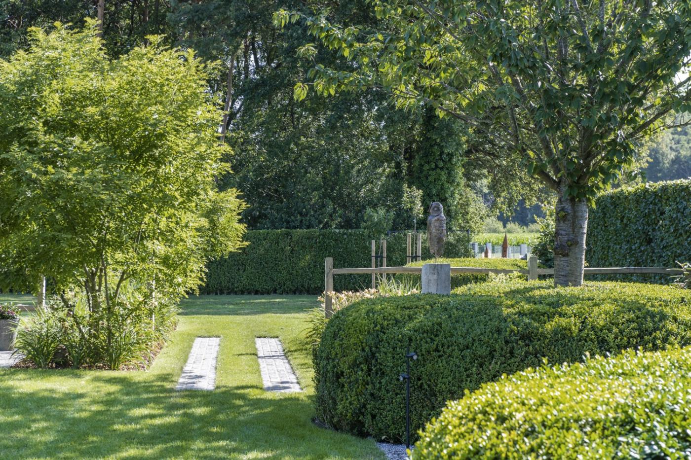 bomen in tuin