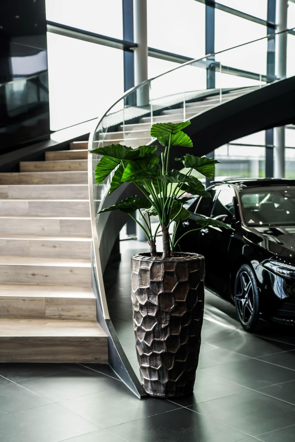 Luxe interieurbeplanting