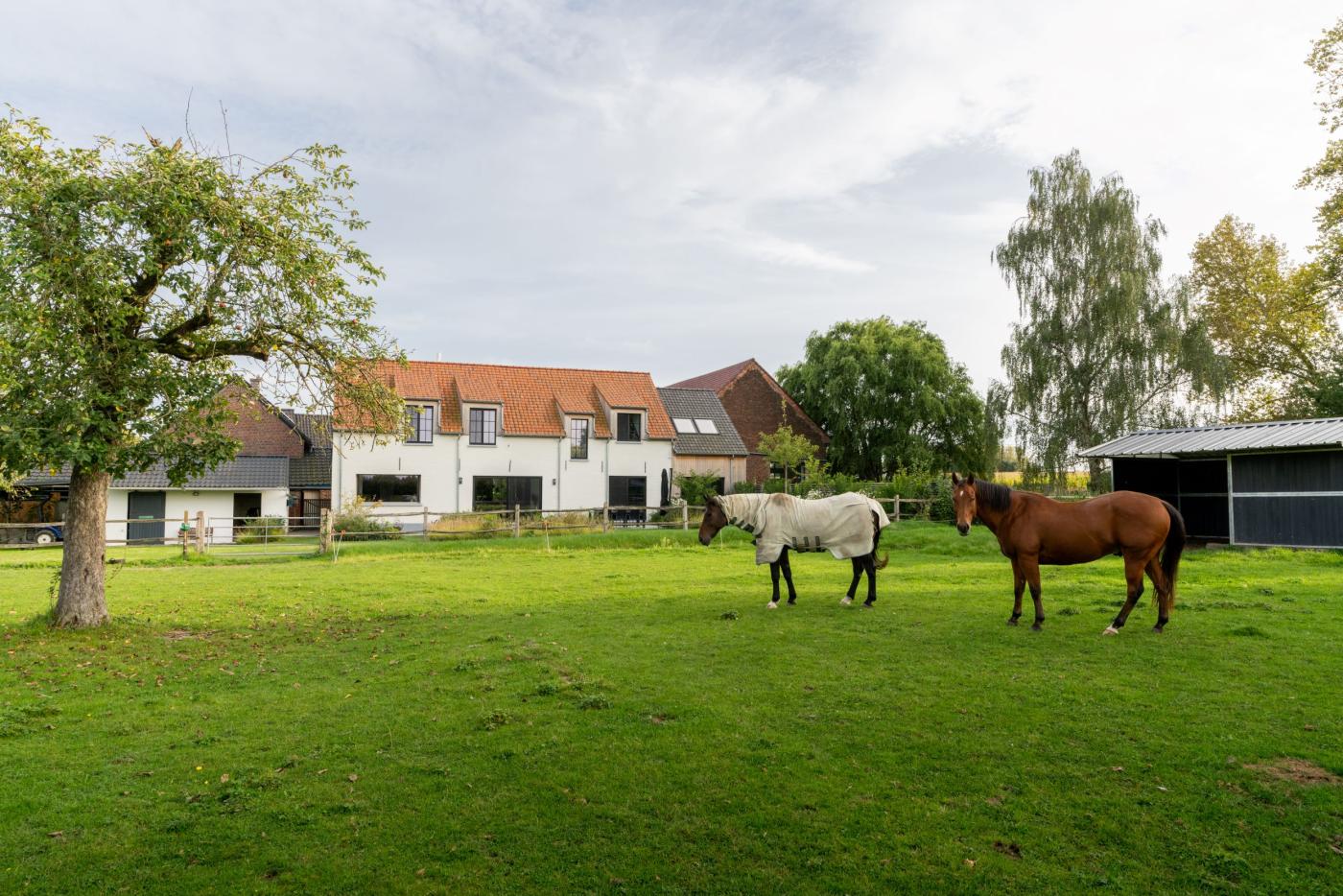 villa met paarden