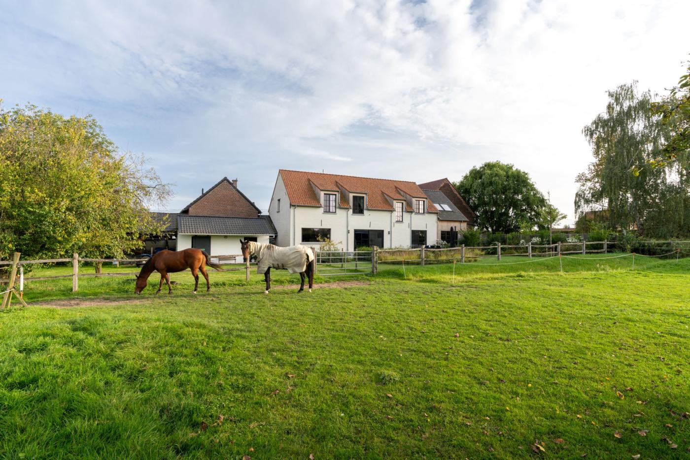 villa met paardenwei