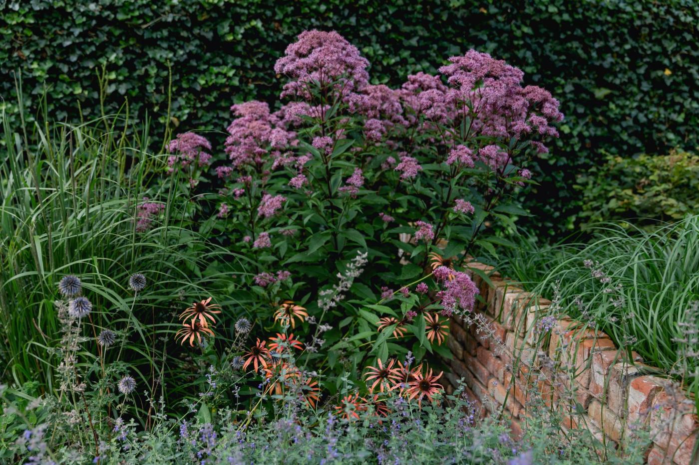 bloemen in tuin