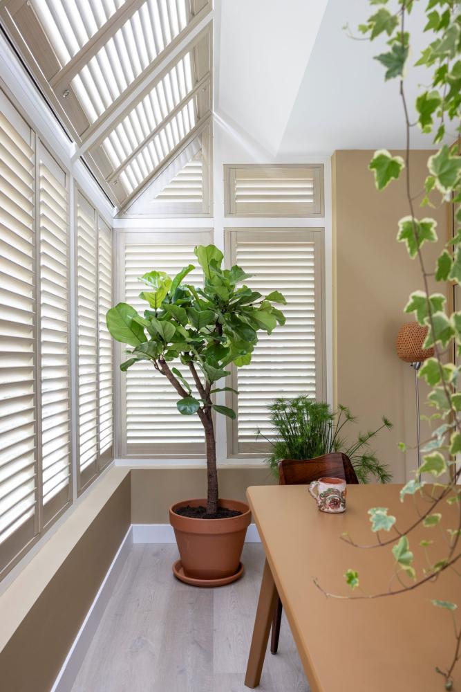 luxe design shutters