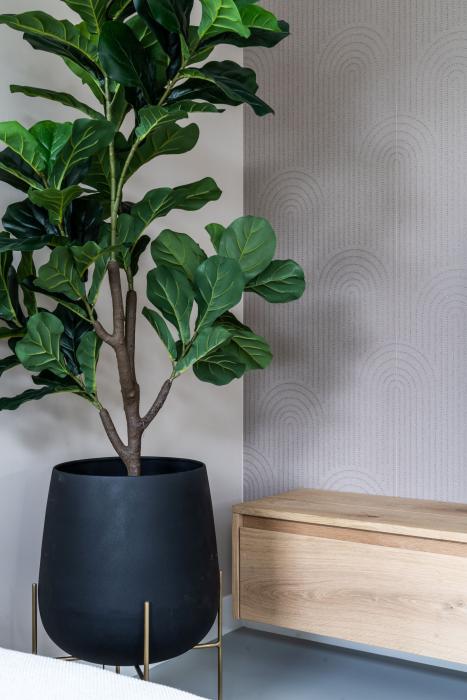 plant in woonkamer