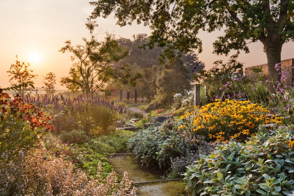 Stream Garden