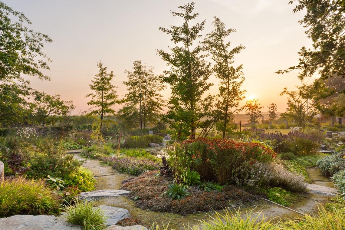 pad in natuurlijke tuin