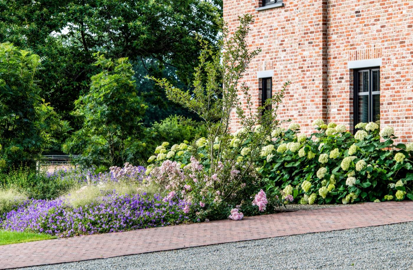 bloemen in voortuin