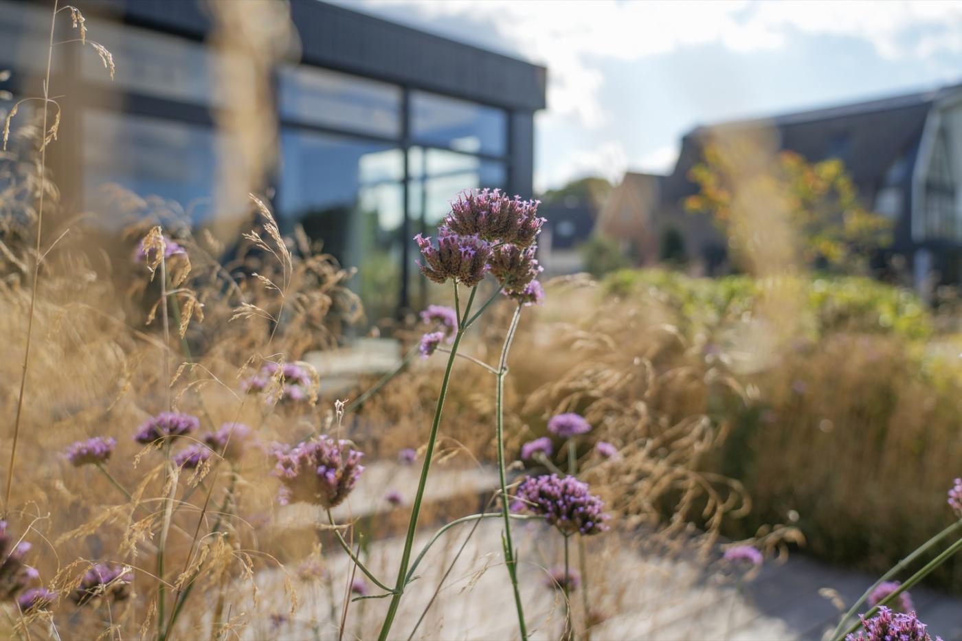 planten in villatuin