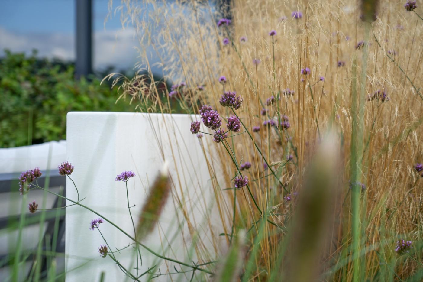 bloemen in tuin