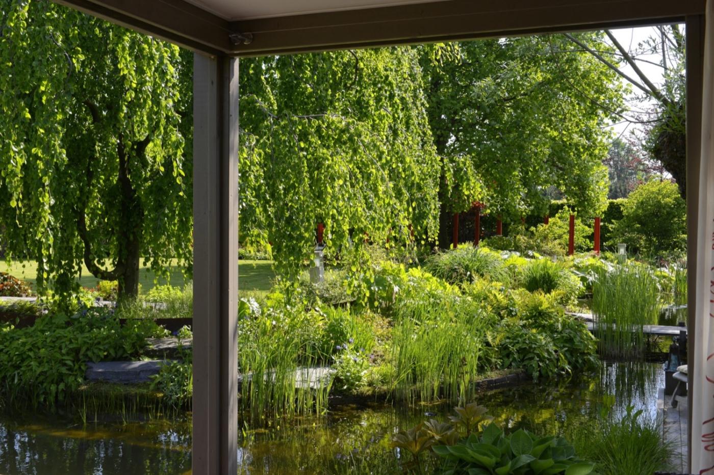 zwemvijver in luxe tuin