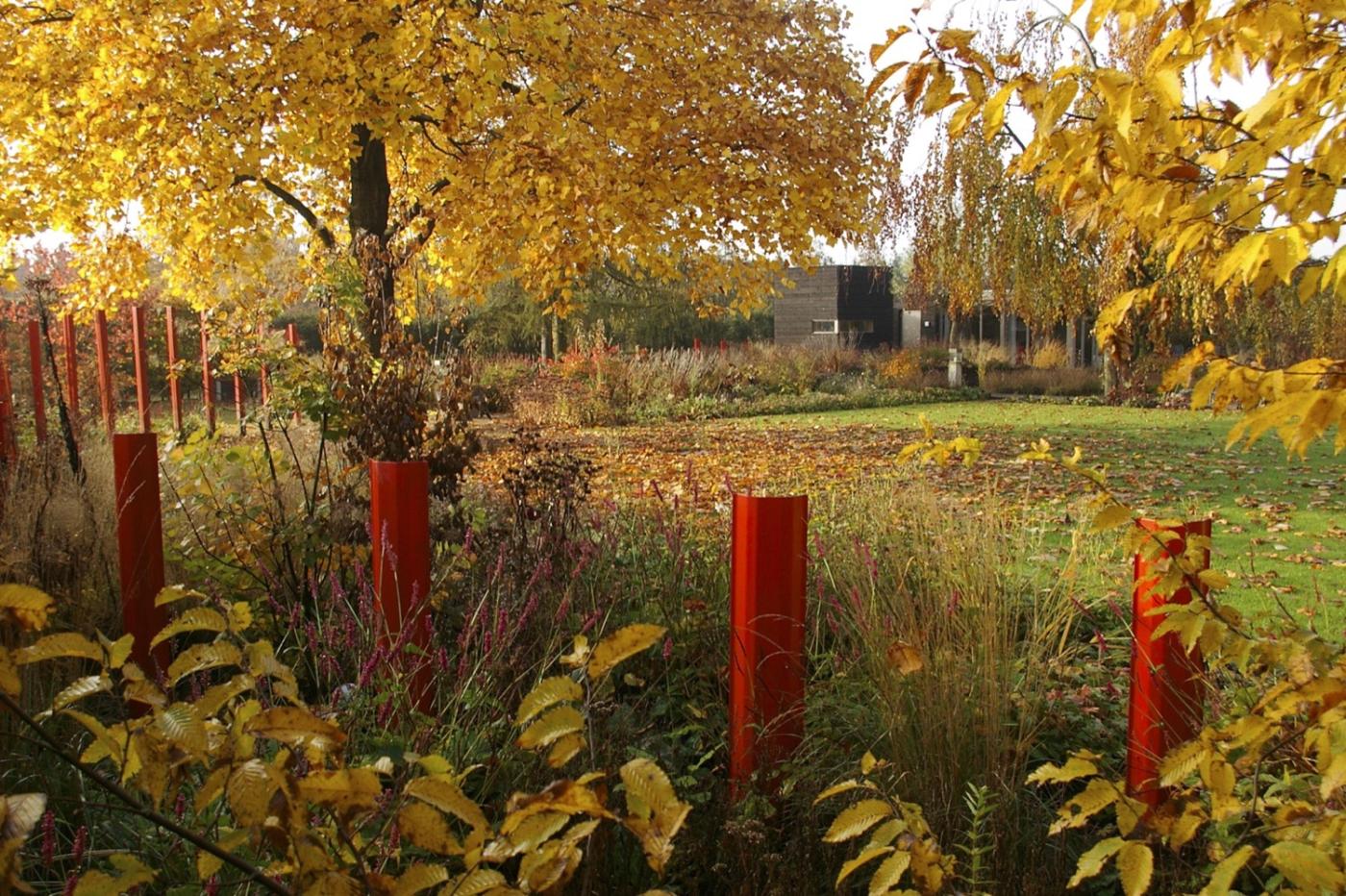 tuin in de herfst