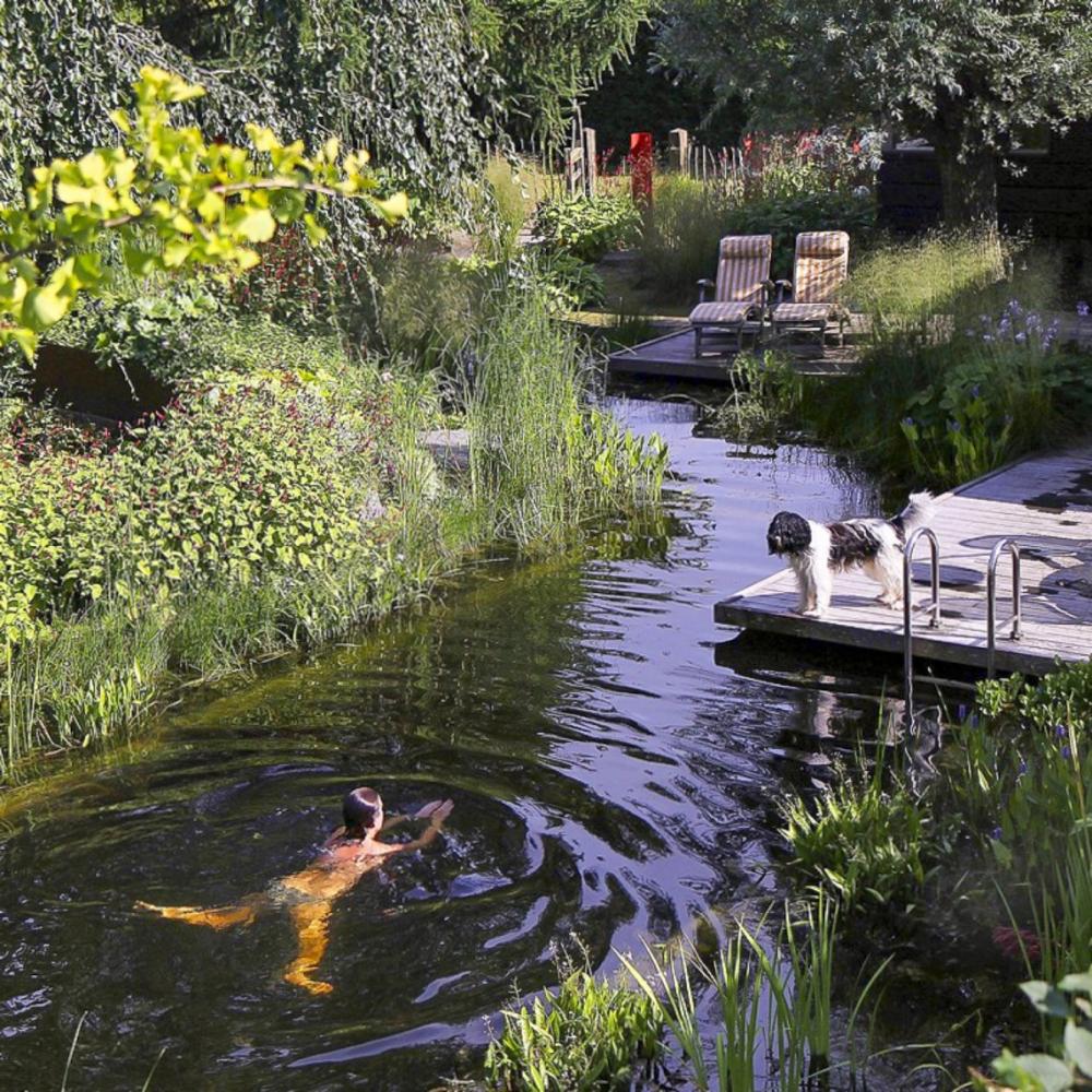 Natuurlijke zwemvijver tuin