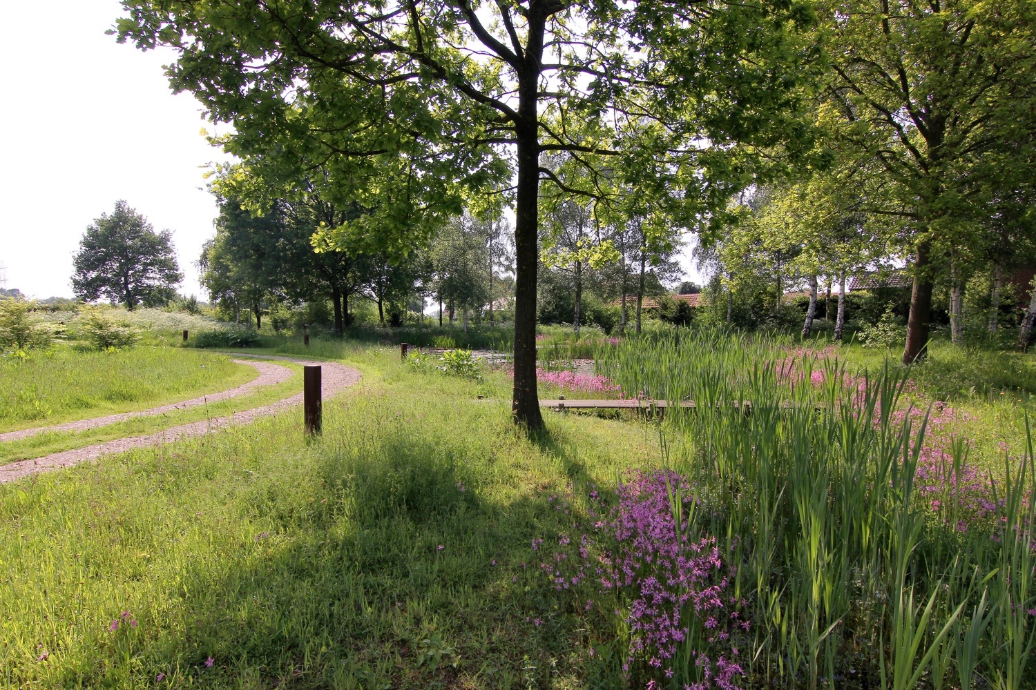 landelijke tuin